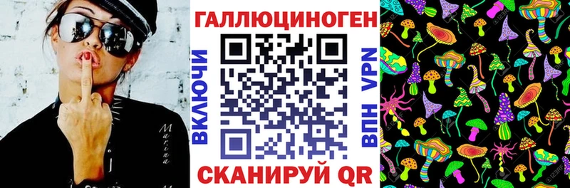 кракен ССЫЛКА  Строитель  Галлюциногенные грибы Psilocybe 