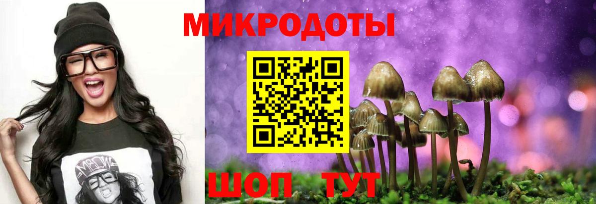 Галлюциногенные грибы Magic Shrooms  даркнет сайт  Строитель  Вход с VPN 