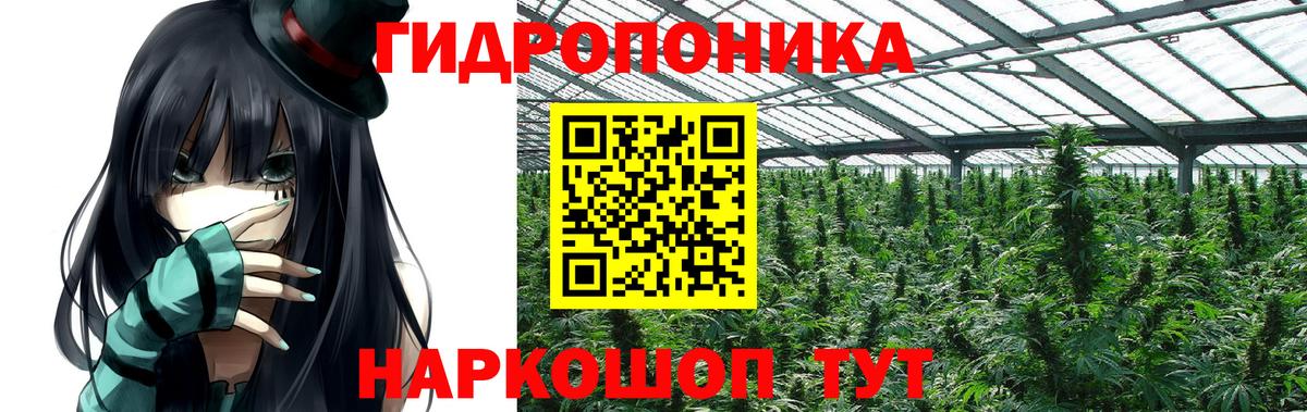 Строитель  Конопля OG Kush  Конопля THC 21%  Шишки марихуана THC 21%  Вход с VPN 